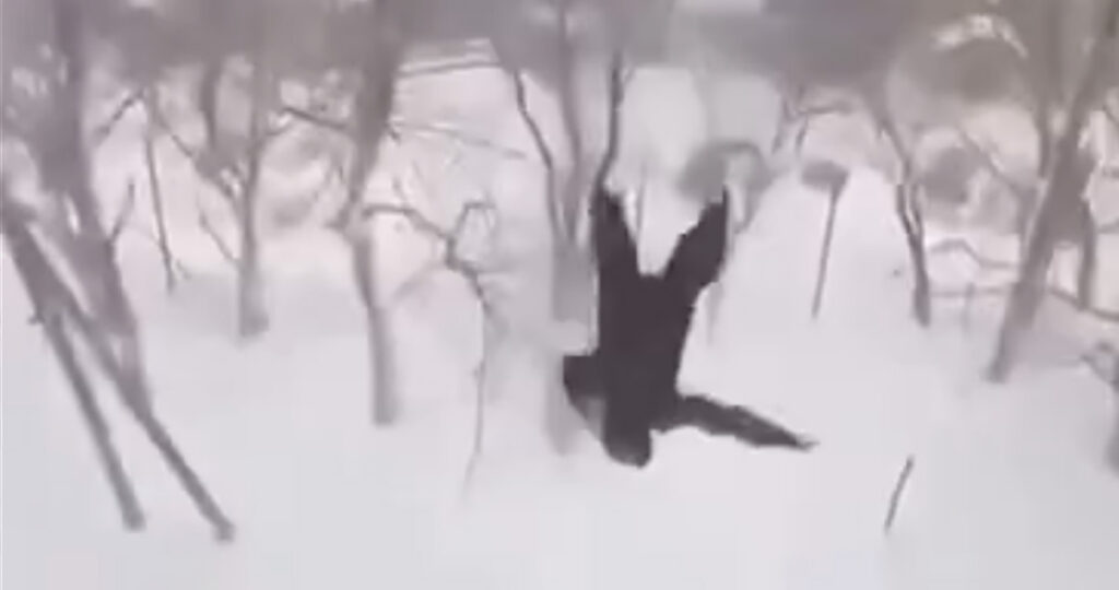 VIDEO: Venemaal on uus harrastus – kortermaja aknast välja hüppamine NB! Nõrganärvilistele mittesoovitav