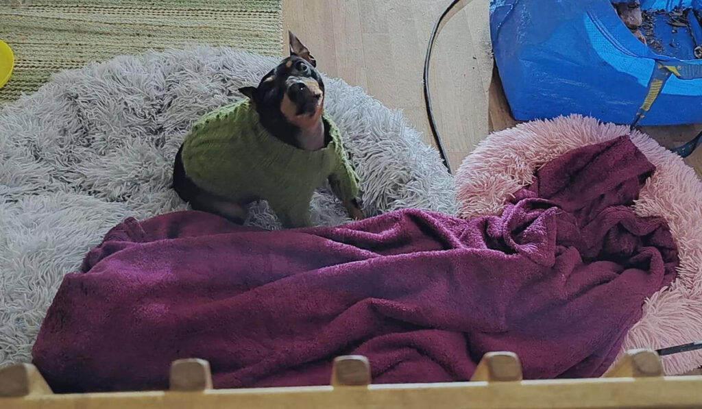 Soome naise kodus on vaid 8 kraadi sooja – kelleltki abi ei saa