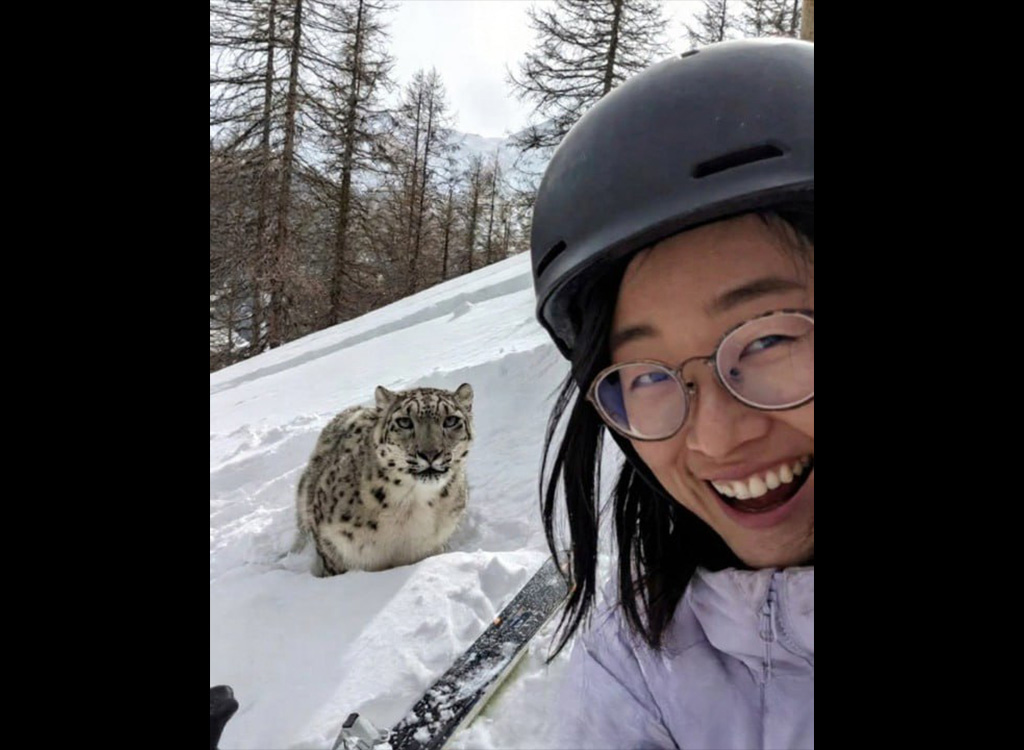 VIDEO: Hiinas ründas lumeleopard tüdrukut, kes tegi loomaga selfi