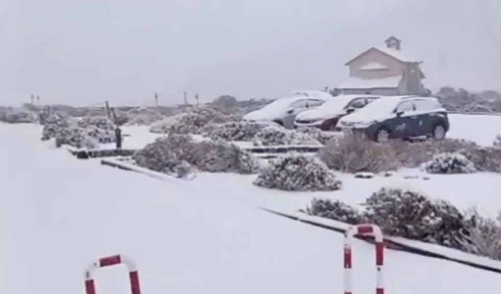 VIDEO: Kanaaridel tuli lumi maha ja külmetab