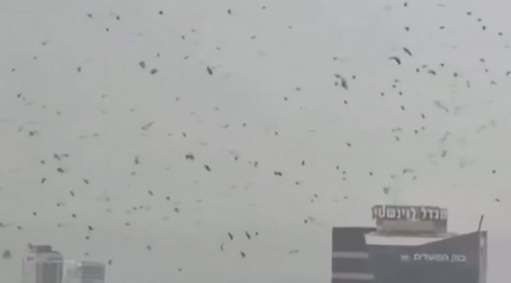 VIDEO: Iisraeli kohal lendavad tuhanded varesed nagu õudusfilmis – mida see tähendab?