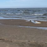 Eesti rannast leiti Ukraina drooni tükid