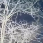 VIDEO: Kiievi politseinikud põgenesid tulistaja eest