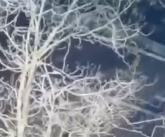 VIDEO: Kiievi politseinikud põgenesid tulistaja eest