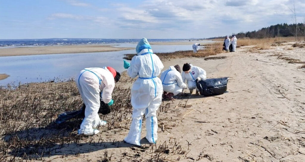 Vene meedia teatas, et Soome lahes on naftareostus