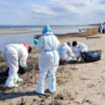 Vene meedia teatas, et Soome lahes on naftareostus