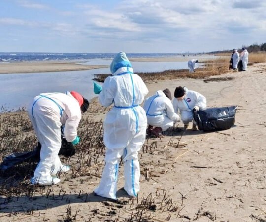 Vene meedia teatas, et Soome lahes on naftareostus