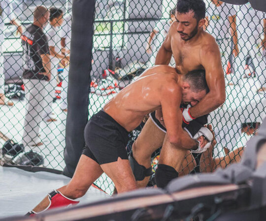 Vapaaottelun nousu globaalilla urheilukentällä