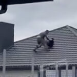 VIDEO: Ukraina värbamisametnikud läksid mehele katusele järgi