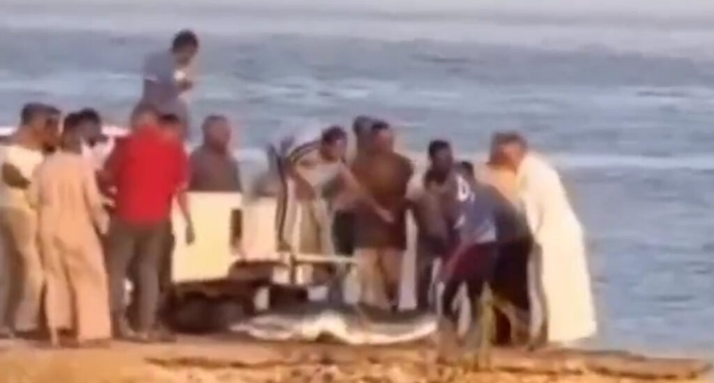 Egiptuse randu kimbutavad haid