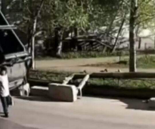 VIDEO: Peterburis ajas prügiauto alla eaka naise NB! Nõrganärvilistele mittesoovitav