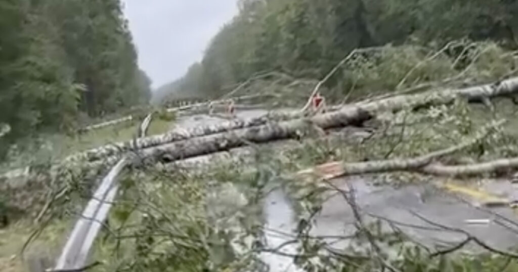 Lätis ja Leedus oli sajandi torm: Lätis jäi tormi tõttu elektrita 277 tuhat majapidamist, Leedus 256 tuhat